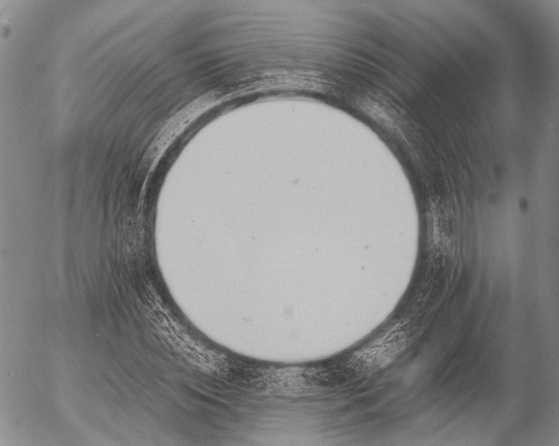 X0000057080828200509161602