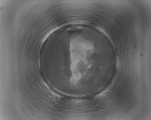 X0000057080829200509161602