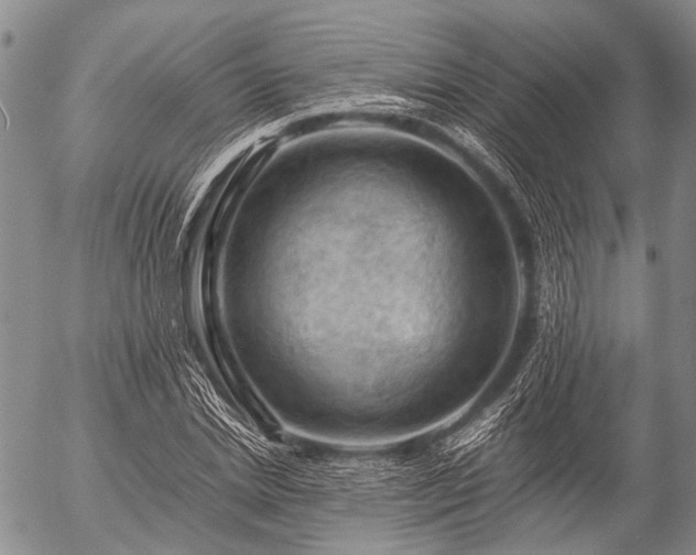 X0000057080830200509161602