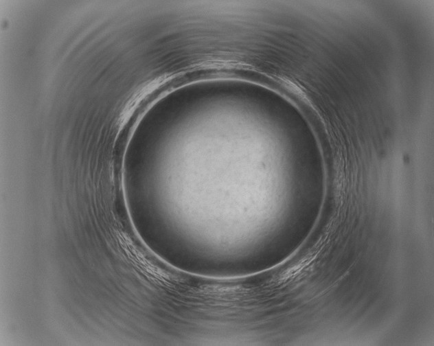 X0000057080831200509161602