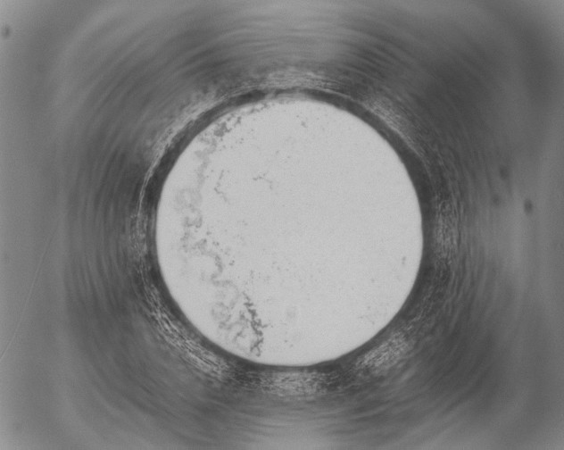 X0000057080832200509161602