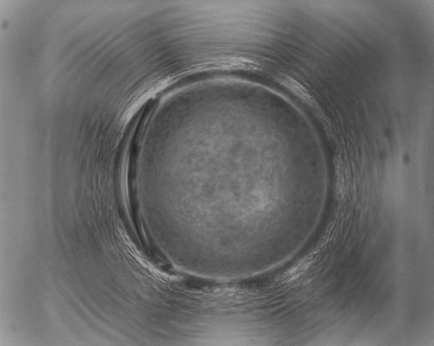 X0000057080834200509161602