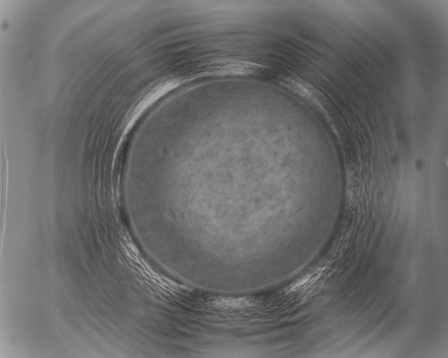 X0000057080835200509161602