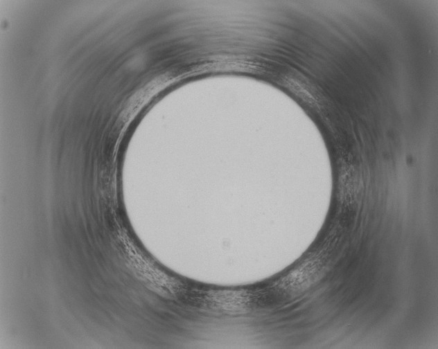 X0000057080836200509161602