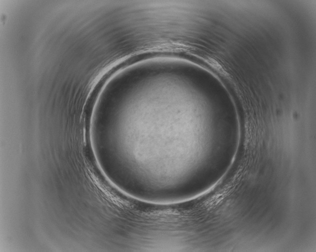 X0000057080838200509161602