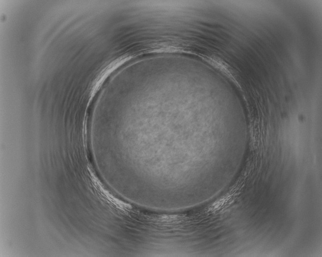 X0000057080839200509161602