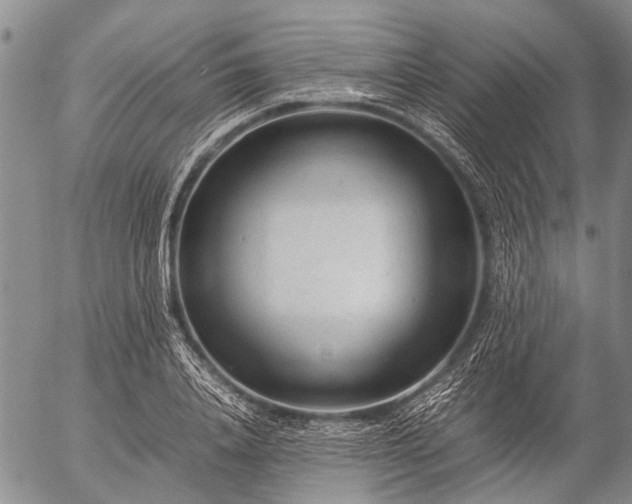 X0000057080840200509161602