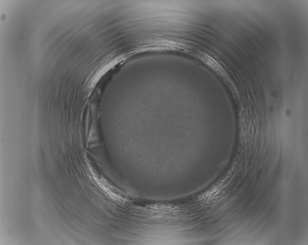 X0000057080842200509161602