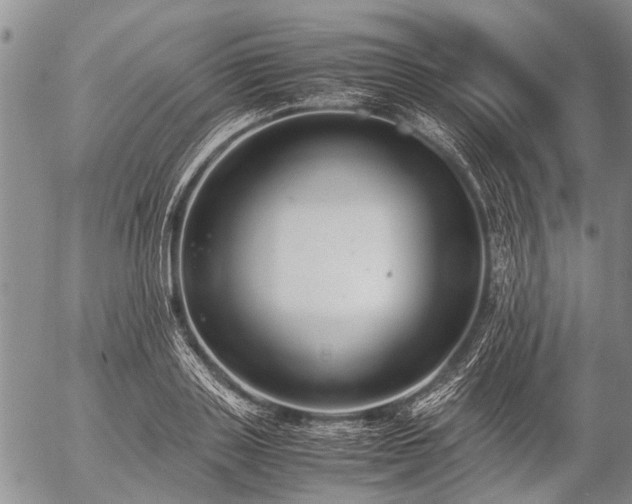 X0000057080843200509161602