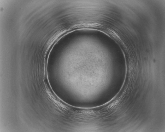 X0000057080844200509161602