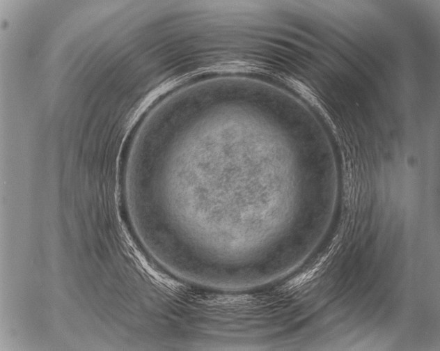 X0000057080845200509161602