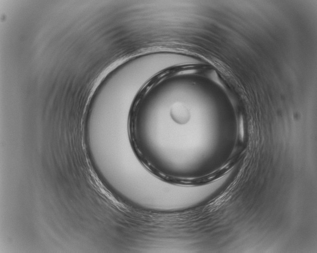 X0000057080846200509161602