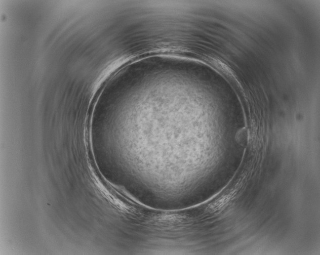 X0000057080847200509161602