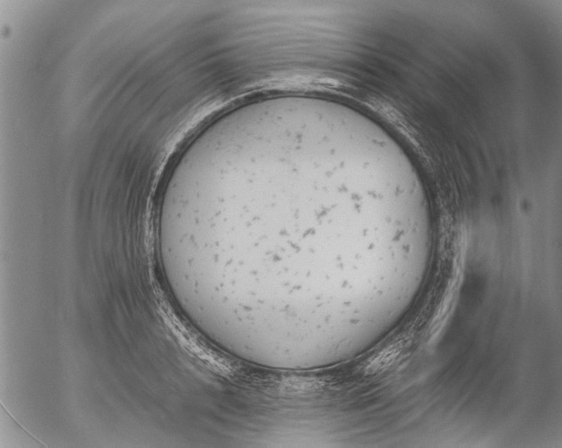 X0000057080848200509161602