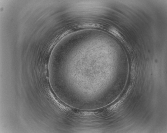 X0000057080849200509161602