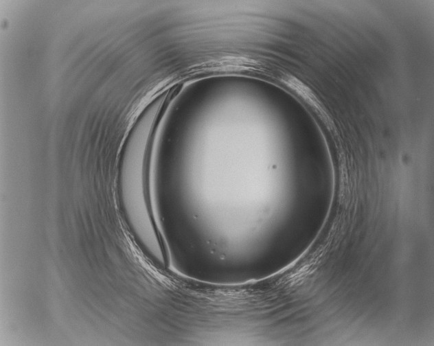 X0000057080850200509161602