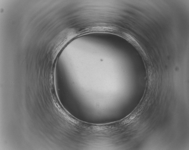 X0000057080852200509161602