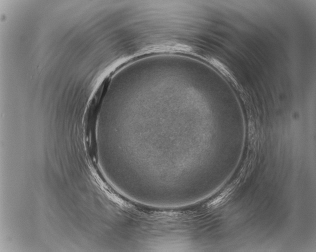 X0000057080854200509161602