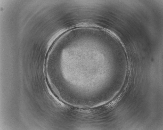 X0000057080855200509161602