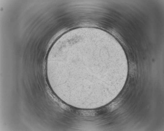 X0000057080856200509161602