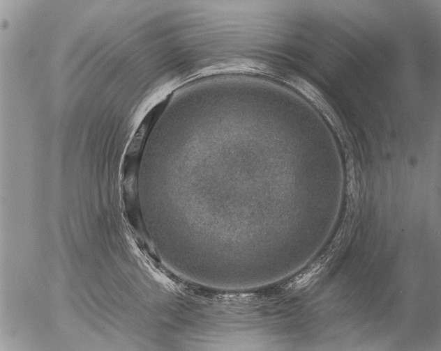 X0000057080858200509161602