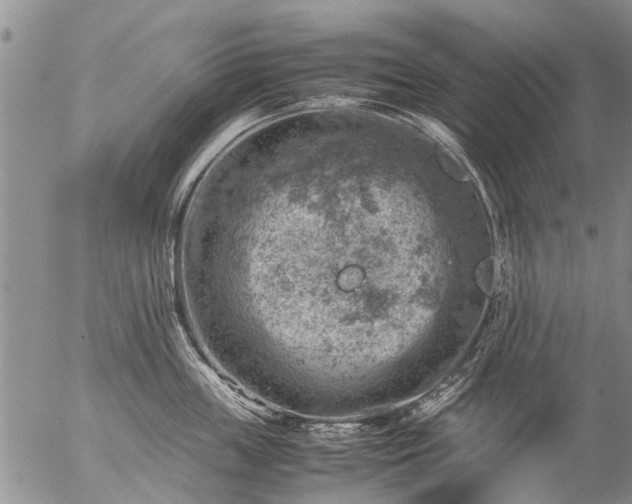 X0000057080859200509161602