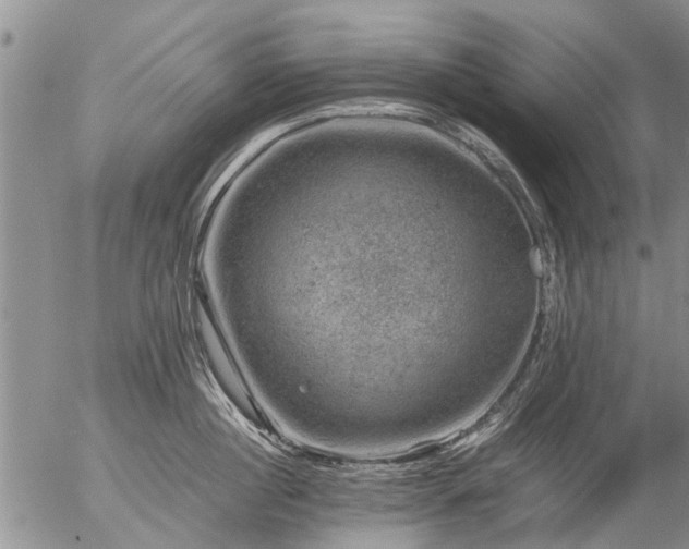 X0000057080860200509161602