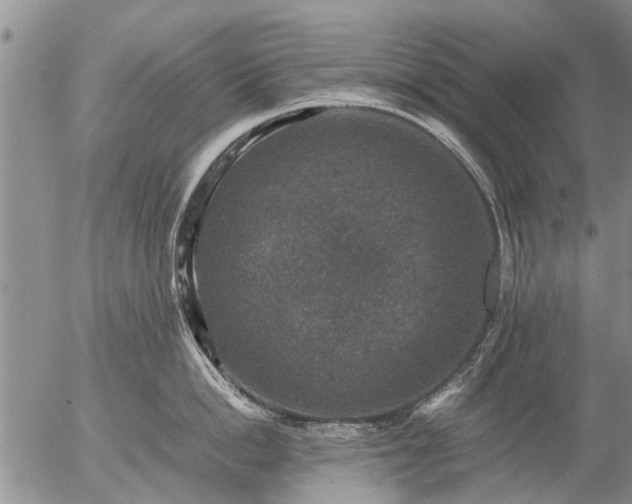 X0000057080862200509161602