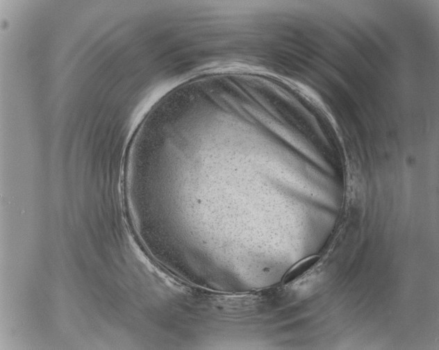 X0000057080863200509161602