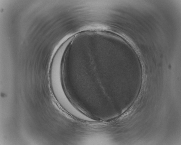 X0000057080864200509161602