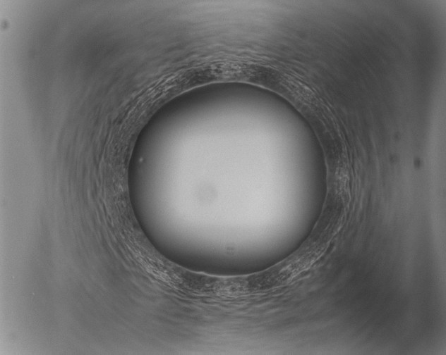 X0000057080865200509161601