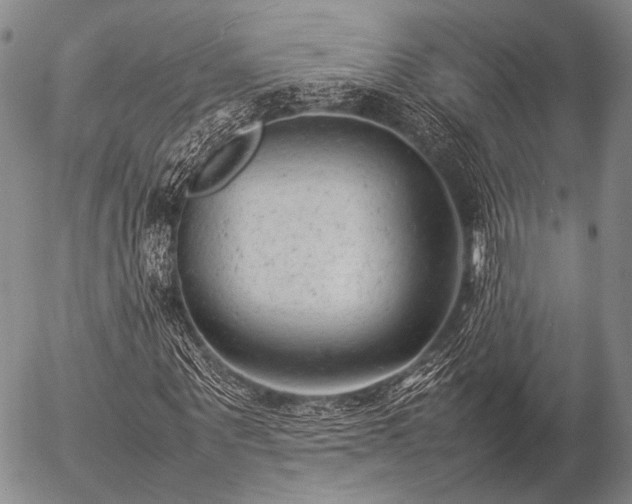 X0000057080867200509161601