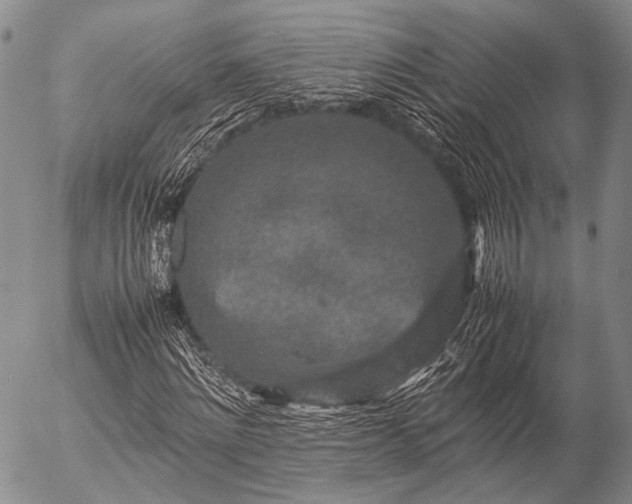 X0000057080868200509161601