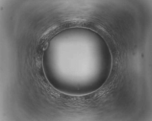 X0000057080869200509161601