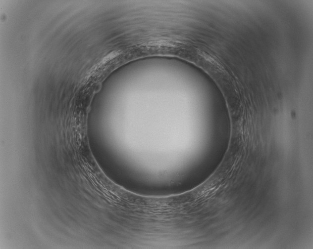 X0000057080870200509161601