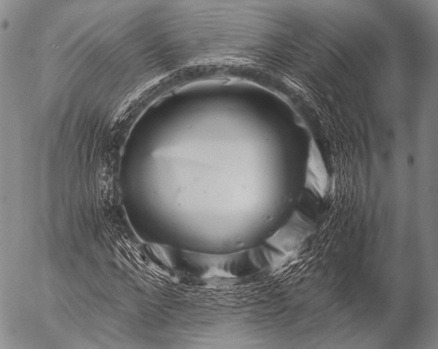 X0000057080872200509161601