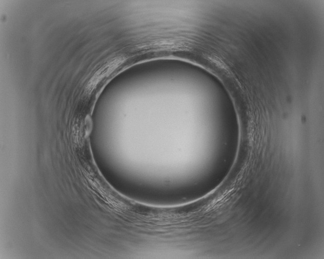 X0000057080873200509161601