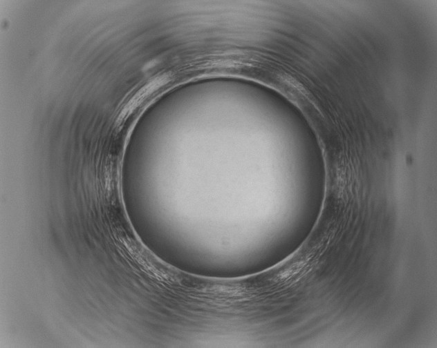 X0000057080874200509161601