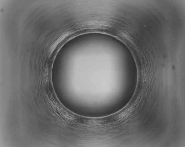 X0000057080875200509161601