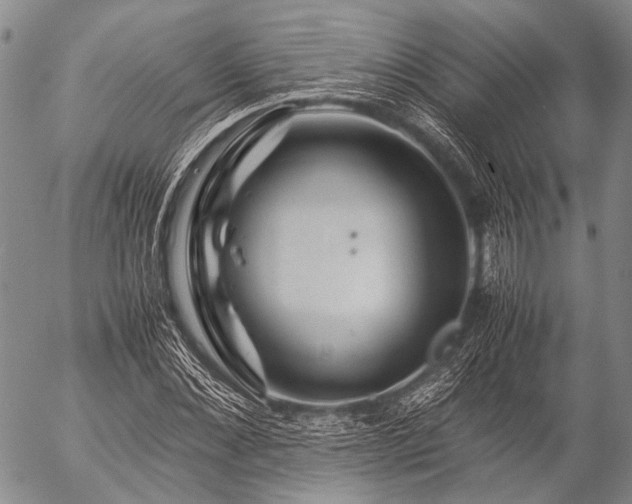 X0000057080876200509161601