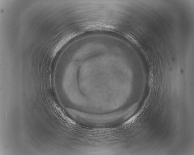 X0000057080877200509161601