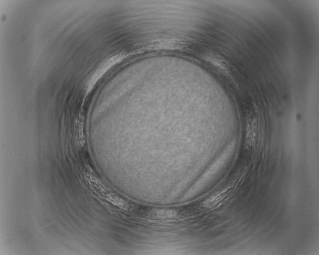 X0000057080878200509161601