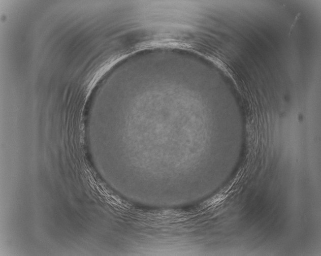 X0000057080879200509161601