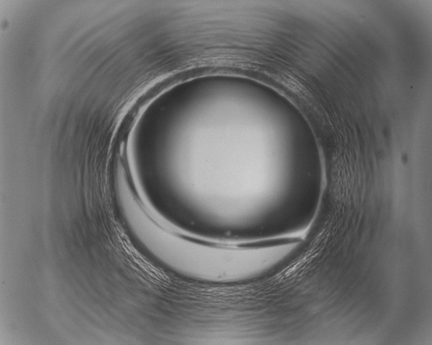 X0000057080880200509161601