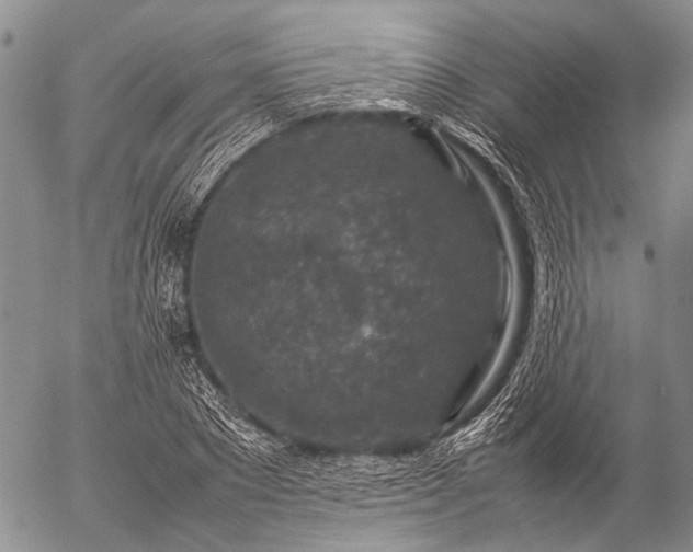 X0000057080881200509161601