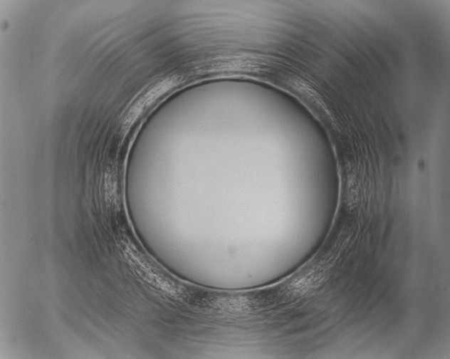 X0000057080882200509161601