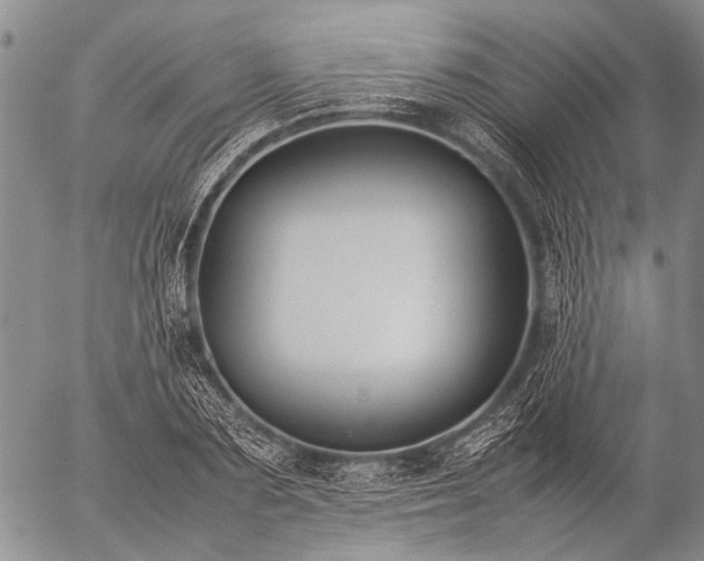 X0000057080883200509161601