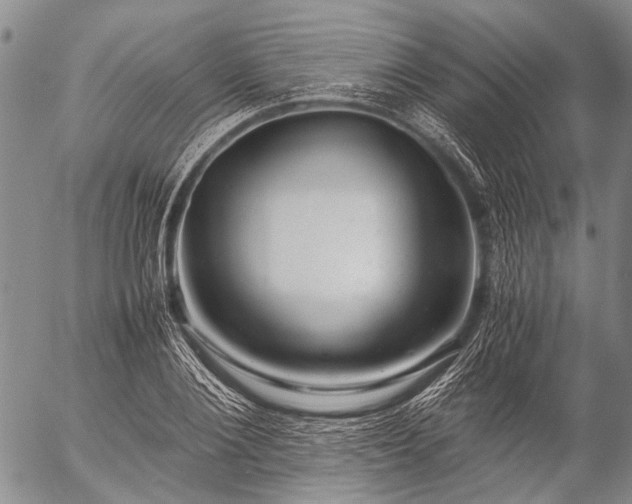 X0000057080884200509161601