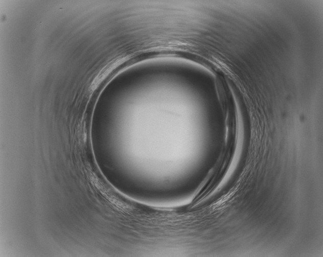 X0000057080885200509161601