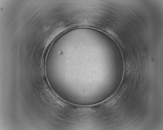 X0000057080886200509161601